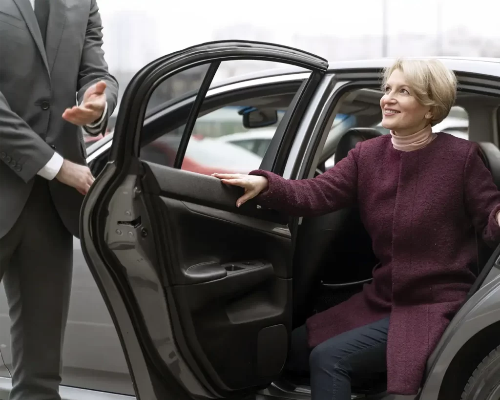 Chauffeur Executivo Premium à Disposição